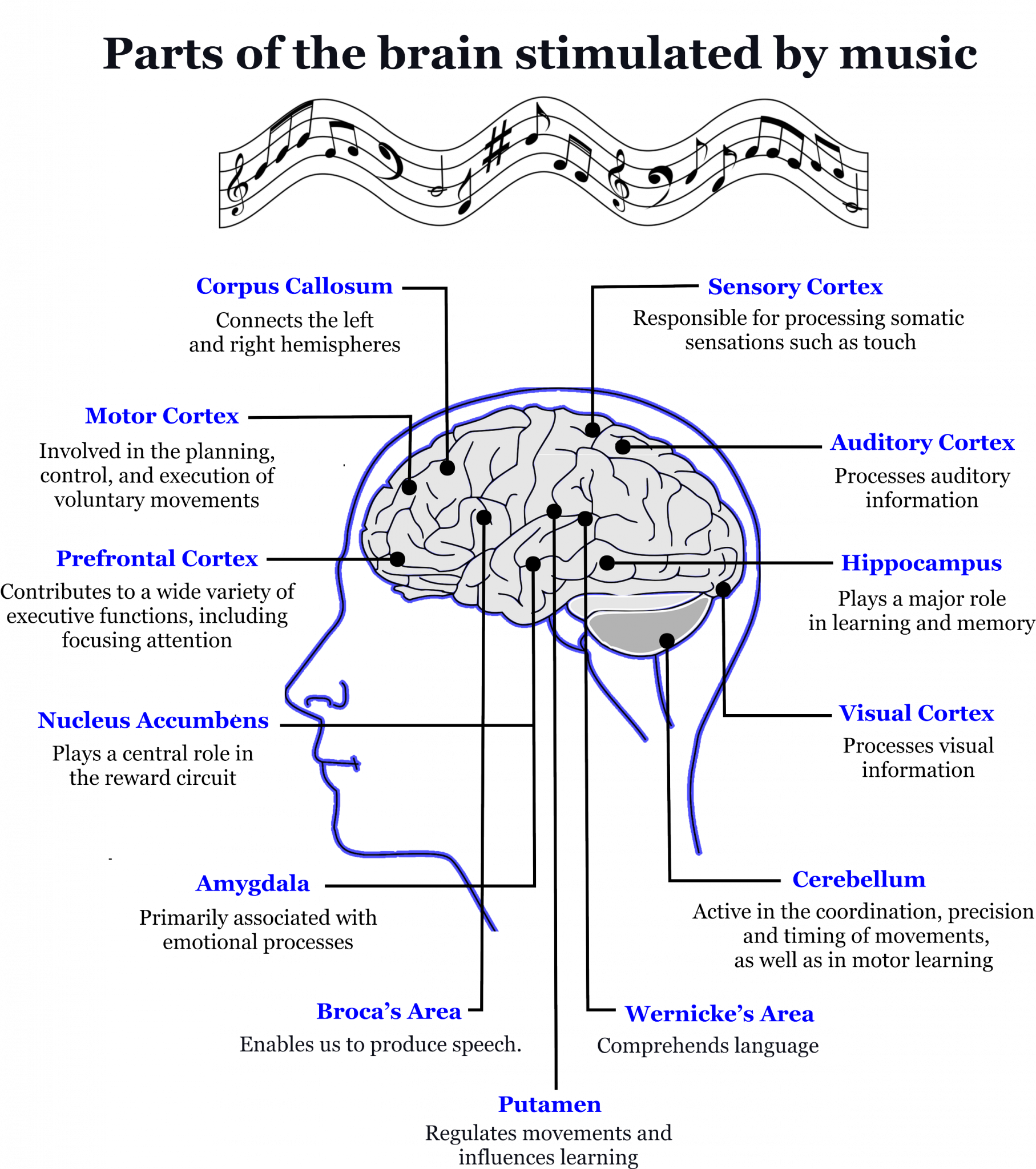 The Healing Effects Of Music On The Brain Musicenergetics