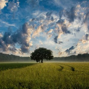 Guided Meditation for Stress and Anxiety Relief